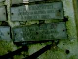 image of grave number 384237